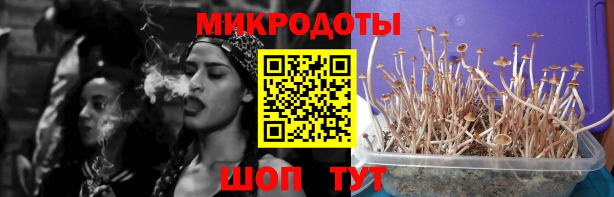 Волжский  Галлюциногенные грибы MAGIC MUSHROOMS  Галлюциногенные грибы Magic Shrooms  Вход с VPN 
